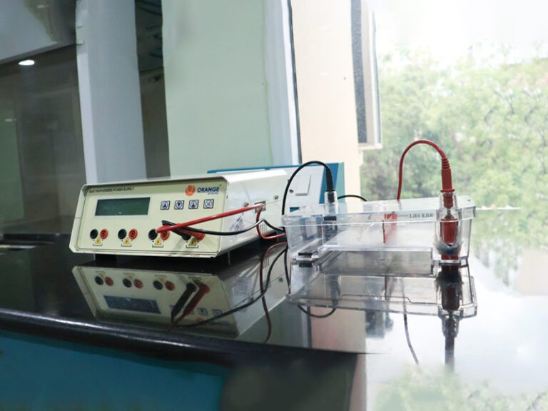 Gel-Electrophoresis-Horizontal