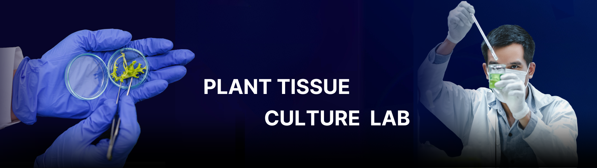 Plant tissue (1)